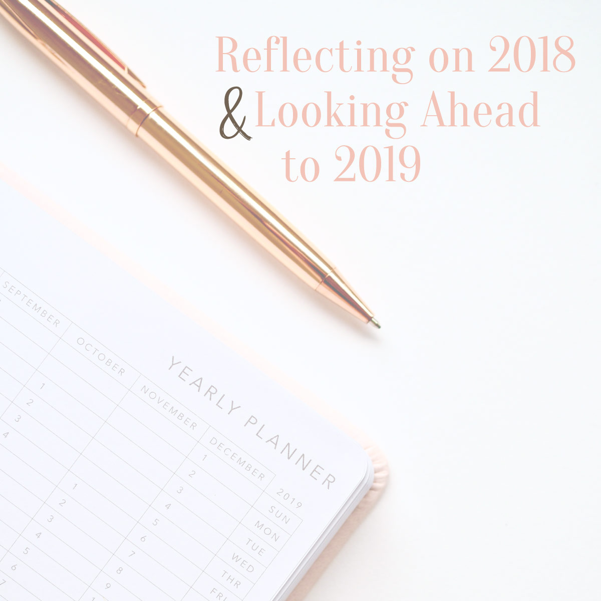 2018-Reflection-2019-Goals