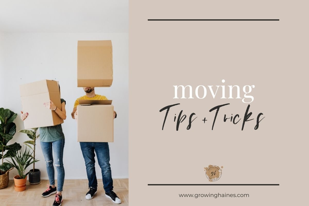 Growing Haines | Moving Tips + Tricks